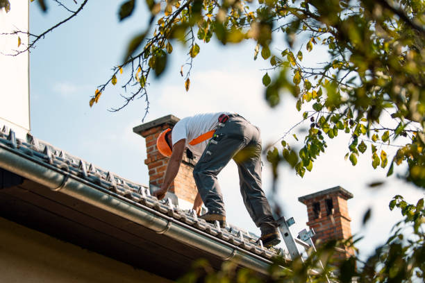Best Residential Roofing Contractor  in Euclid, OH